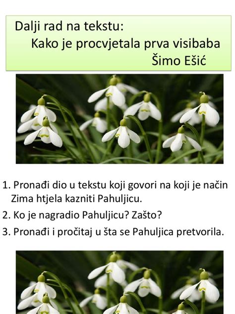 Visibaba Pdf Pdf