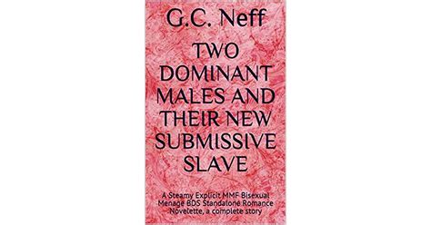 Two Dominant Males And Their New Submissive Slave A Steamy Explicit