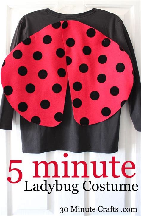 Homemade Ladybug Costume For Teens