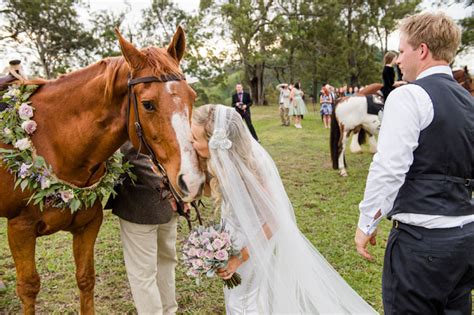 Proof That Animals Are The Best Wedding Guests Modern Wedding