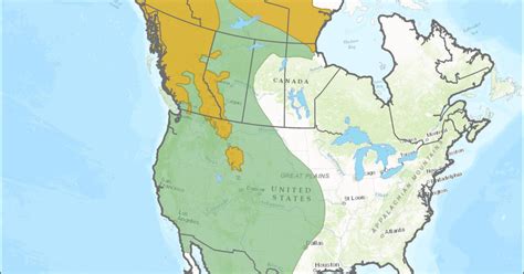 Timeline A History Of Grizzly Bear Recovery In The Lower 48 States Ypr