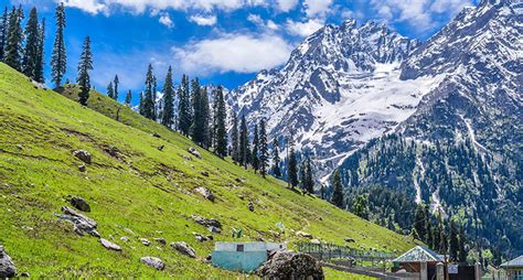 Kashmir Travel And Tours Packages