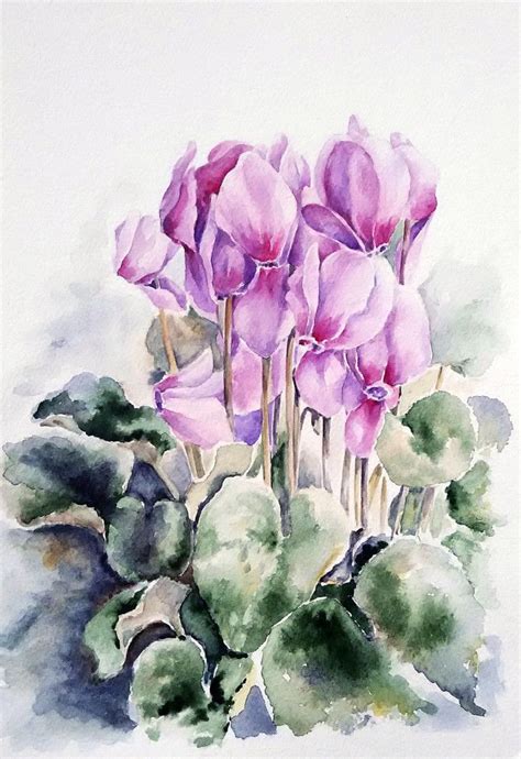 Cyclamen Watercolor Art Lessons Watercolor Flowers Paintings