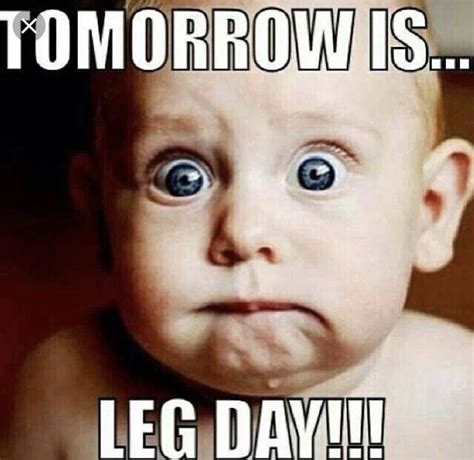 Arm Day Meme Leg Day Humor Gym Humour Workout Memes Gym Memes Workouts Funny Motivation