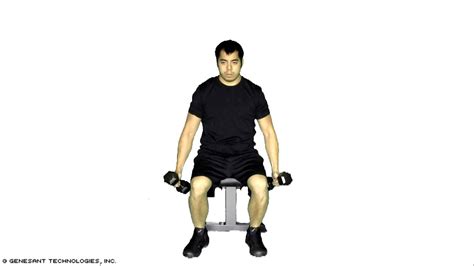 Seated Alternating Scaption Exercise Youtube
