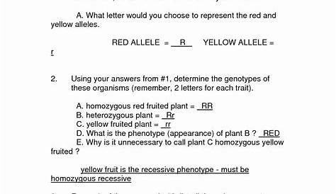 genetics practice worksheet answer key