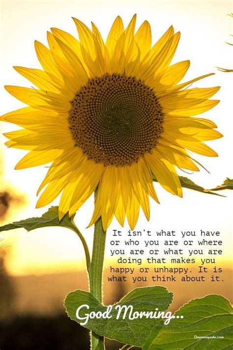Start your day with these beautiful 'good morning' quotes to inspire your life and provide words of encouragement. 56 Good Morning Quotes and Wishes with Beautiful Images ...