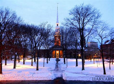 Harvard Campus Tour 15 Best Places To Visit At Harvard How To Get