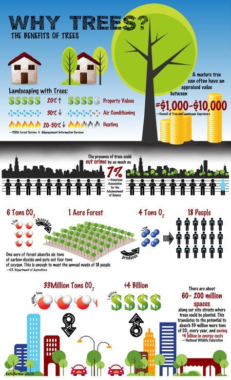 12 Best Tree Infographics Images Infographic Tree Care Trees To Plant