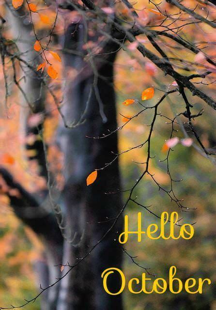 Hello October October Quotes Hello October New Month Greetings