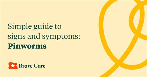 Pinworms Simple Guide To Signs And Symptoms Brave Care