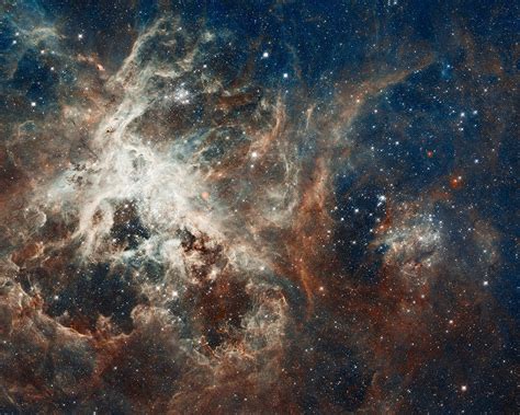 30 Doradus Tarantula Nebula Photograph By Space Art Pictures Fine Art