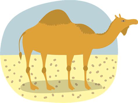 Camel Clipart Free Download Transparent Png Creazilla