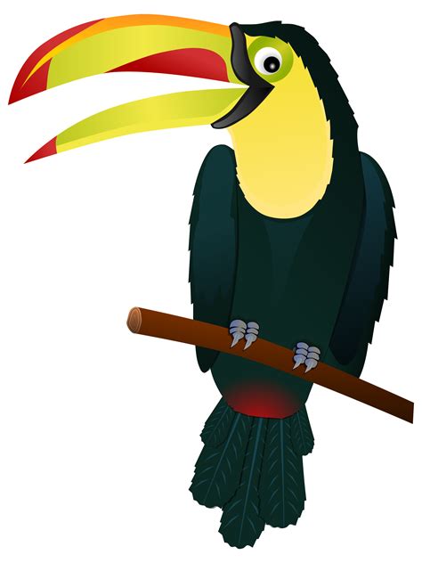 Clipart - Toucan