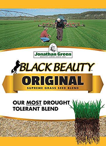 Jonathan Green Black Beauty Grass Seed Mix Pound Pricepulse