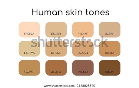 Human Skin Color Palette