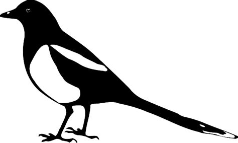 Magpie Clipart Free 10 Free Cliparts Download Images On Clipground 2023