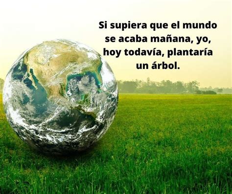 Lista 99 Imagen De Fondo Frases Del Medio Ambiente Para Carteles