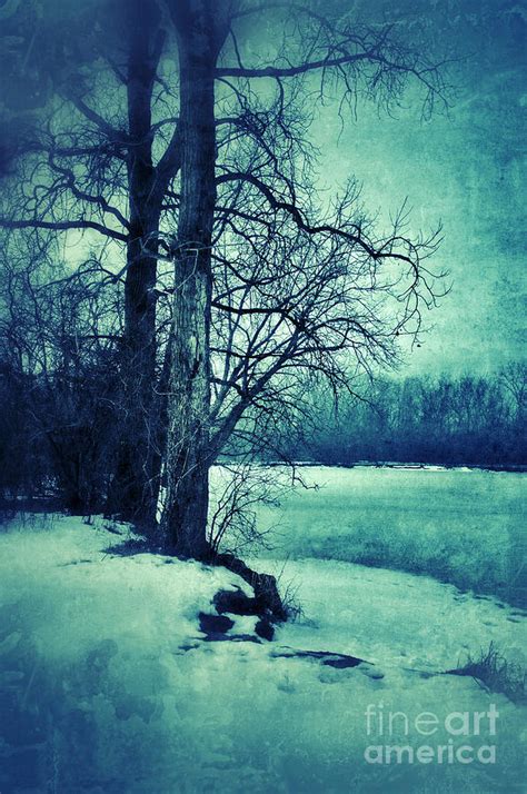 Snowy Woods By A Lake Photograph By Jill Battaglia Fine Art America