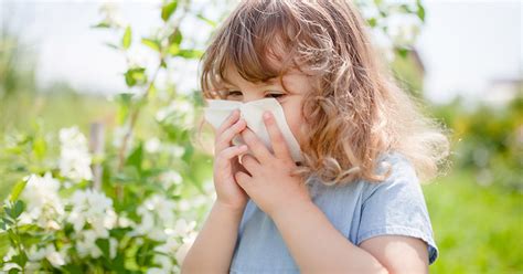 Medical Aid For Allergic Rhinitis In South Africa Medical Aid Quotes
