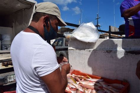 Pesca De Sardina El Respiro De Los Ribereños De Progreso Poresto