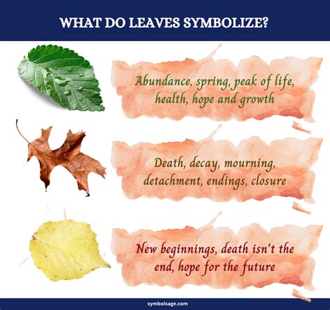 Symbolism Of Leaves And What They Mean Symbol Sage