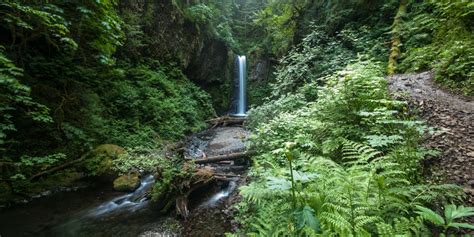 Larch Mountain Trail Outdoor Project