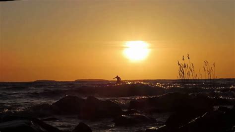 Yellow Waves - YouTube
