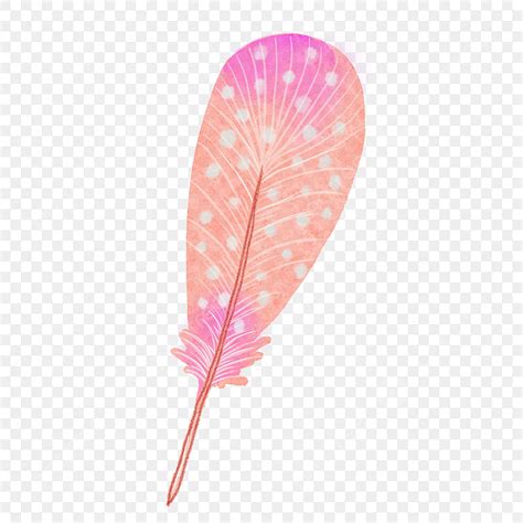 Pink Feather Clipart Transparent Png Hd Pink Gradient Cute Pattern