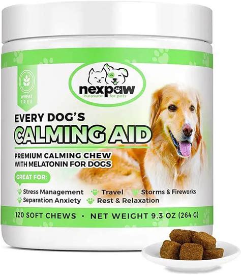 The 18 Best Calming Dog Treats For Stress And Anxiety Relief