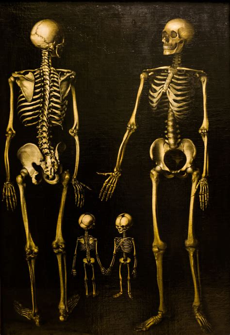 Free Images Death Skull Bone Painting War Logo Skeleton Bones