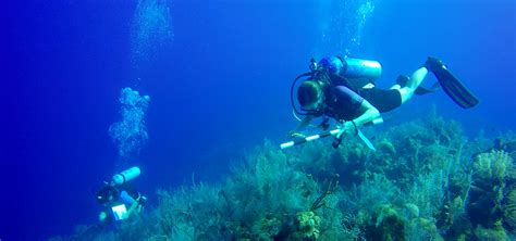 Little cayman beach resort, blossom village, cayman islands. EXPLORE