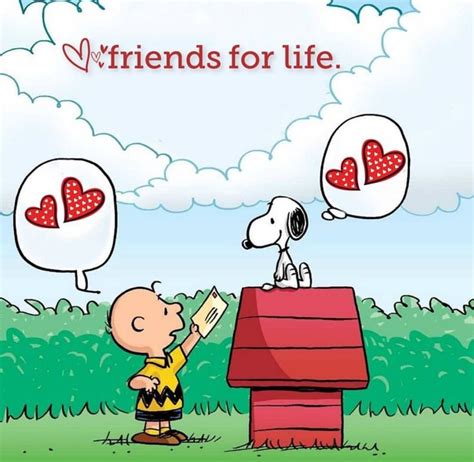 Pin By Susan Stewart 🌼 On Snoopy And The Gang 5 ️ Snoopy Pictures