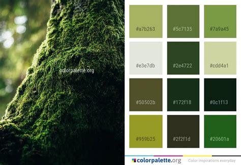 Moss Color Palette Ideas