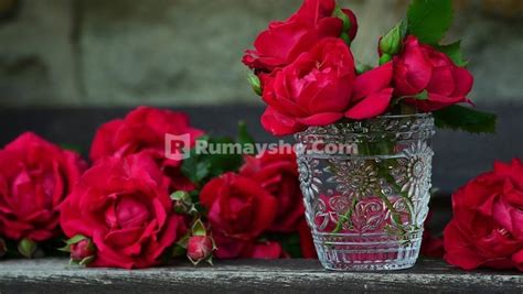 Cara Taubat dari Zina dengan yang Berbeda Agama - Rumaysho.Com