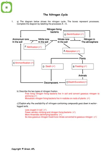 Biology Nitrogen Cycle Worksheet Teaching Resources