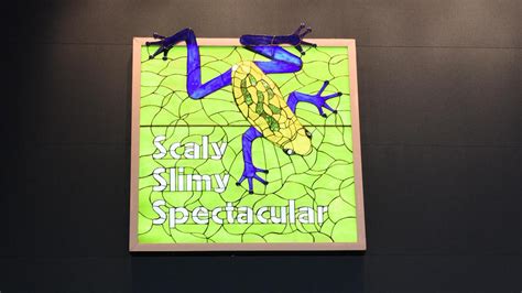 Zoo Atlantas Scaly Slimy Spectacular Debuts April 2 Slideshow