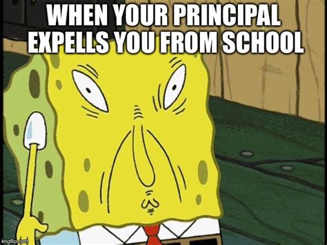19 School Memes Spongebob Factory Memes