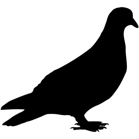 Columbidae Pigeon Png Picture Png Mart