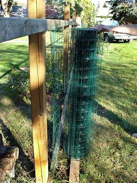 What is the best fence for a backyard? 20 Inexpensive Temporary Fencing Ideas for Your Home | Diy ...