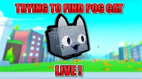 Finding Pog Cat Live Pet Simulator X Youtube