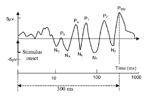 3 Components Of Event Related Potentials Erp 20 Download
