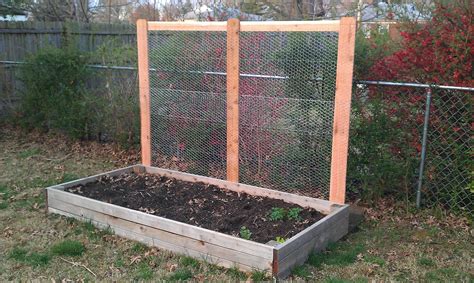 There's no better way to grow vining cucumbers than on a cucumber support. New homemade cucumber trellis to get ready for the growing ...