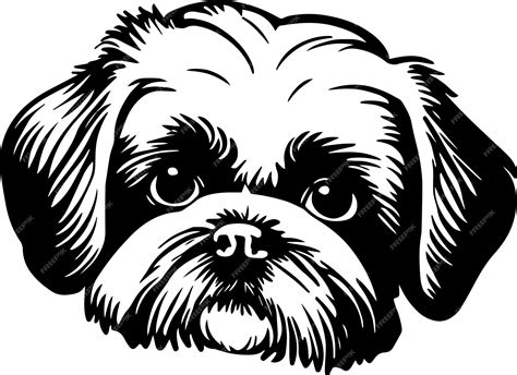 Premium Vector Shih Tzu Dog Face Isolated On A White Background Svg