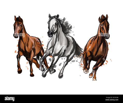 Three Horses Run Gallop From Splash Of Watercolors Colored Drawing