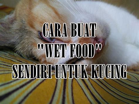 Cara memandikan kucing sebenarnya tidak sulit, namun pasti ada kendala sedikit seperti kucing takut air, berontak, kemudian mencakar kita. Cara Buat Wet Food Untuk Kucing | Eintan Nurfuzie ...