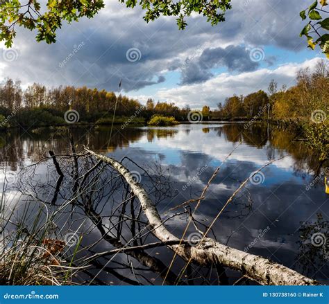 Moor Lake Landscape Stock Photo Image Of Moor Rannoch 130738160