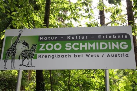 There is also the largest. Zoo Schmiding - Bild von Zoo Schmiding, Wels - Tripadvisor