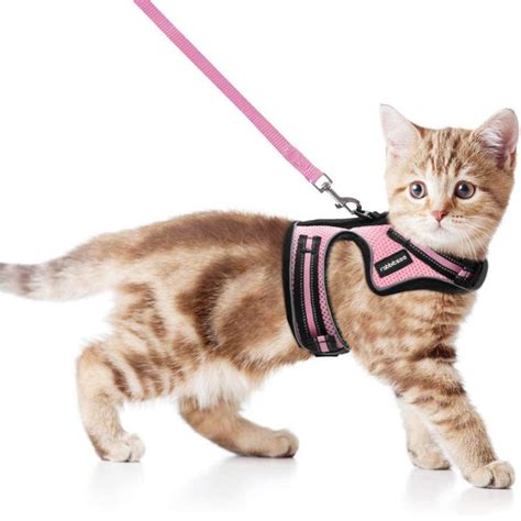 Rabbitgoo Cat Harness And Leash For Walking Best Offer