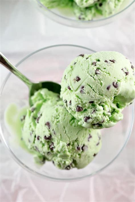 Mint Chocolate Chip Ice Cream Recipe Mint Chocolate Chip Ice Cream